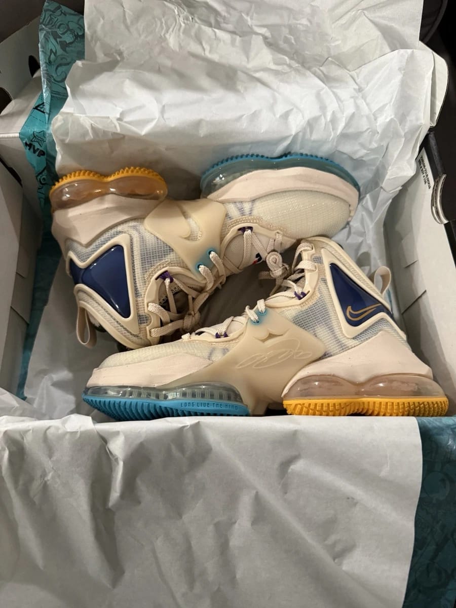 Nike LeBron 19 White - Shoe Boxs